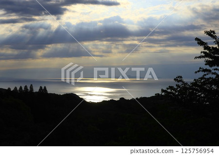 日本的愛琴海：從橄欖樹林看瀨戶內海 125756954