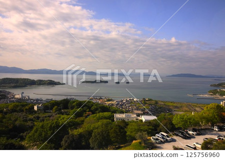 日本的愛琴海：從橄欖樹林看瀨戶內海 125756960