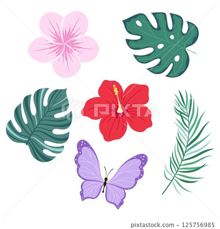 tropical plants set, flat style tropical plants set, flat style 125756985