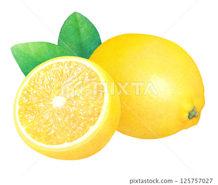 新鮮檸檬和葉子的手繪插畫_水彩_整個和切片檸檬_柑橘類水果 新鮮檸檬和葉子的手繪插畫_水彩_整個和切片檸檬_柑橘類水果 125757027