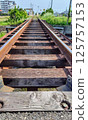 The track will go on and on 125757153