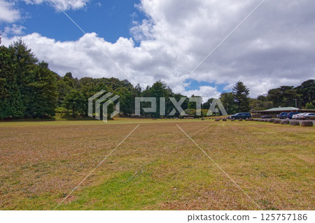 Kauai Kokee State Park Kauai Kokee State Park 125757186