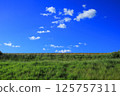 A midsummer photo of green grass on the embankment road slope and the open sky 125757311