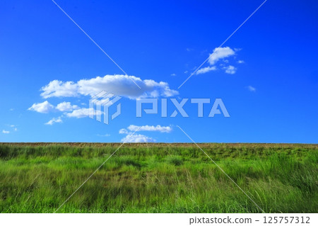 A midsummer photo of green grass on the embankment road slope and the open sky 125757312