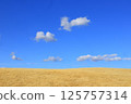Autumn landscape of grassy hills and open sky 125757314