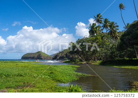 Atuona Bay landscape in Hiva Oa, Marquesas Islands, French Polynesia Atuona Bay landscape in Hiva Oa, Marquesas Islands, French Polynesia 125758372