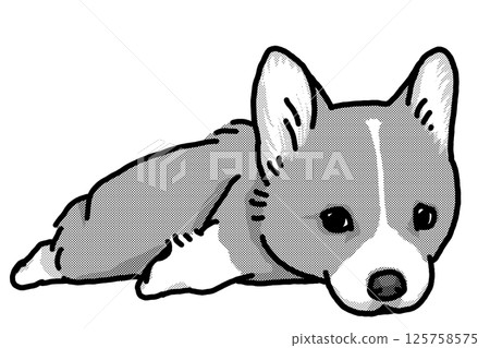 柯基犬小狗插畫 125758575