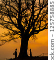 Couple under the tree at dusk Confession Bouquet Engagement Wedding 125758885