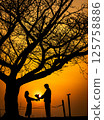 Couple under the tree at dusk Confession Bouquet Engagement Wedding 125758886
