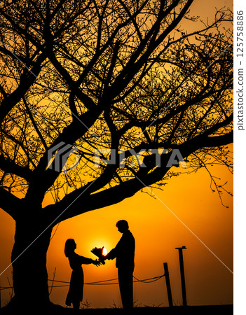Couple under the tree at dusk Confession Bouquet Engagement Wedding 125758886