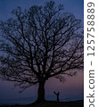 Woman under a tree at sunset, confession, bouquet, engagement, wedding 125758889