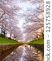 Imperial Palace with cherry blossoms in full bloom 125758928
