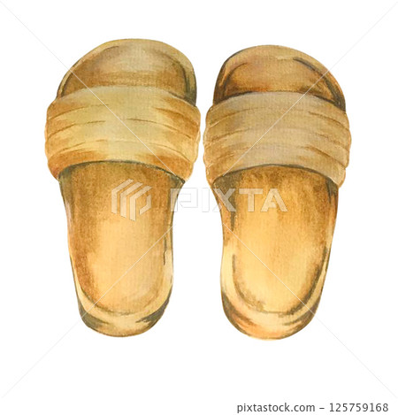 sea shoe watercolor sea shoe watercolor 125759168