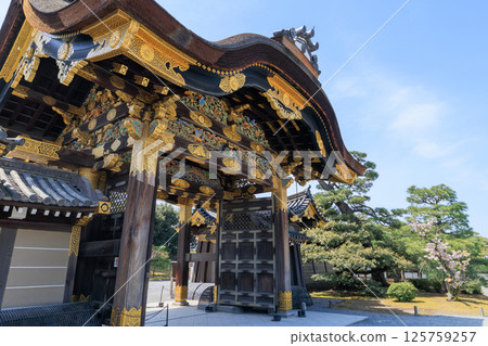 Spring in Kyoto: Nijo Castle Karamon Gate and Cherry Blossoms (Nakagyo Ward, Kyoto City, Kyoto Prefecture) Spring in Kyoto: Nijo Castle Karamon Gate and Cherry Blossoms (Nakagyo Ward, Kyoto City, Kyoto Prefecture) 125759257