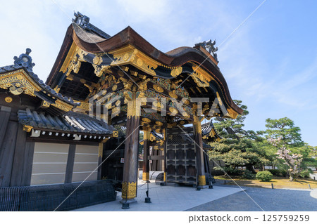 Spring in Kyoto: Nijo Castle Karamon Gate and Cherry Blossoms (Nakagyo Ward, Kyoto City, Kyoto Prefecture) 125759259