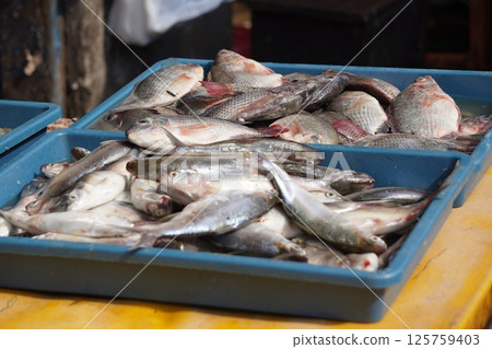 Fresh fish of various types displayed in blue plastic trays, likely at a market or fishmongers stall, ready for sale or cooking. Fresh fish of various types displayed in blue plastic trays, likely at a market or fishmongers stall, ready for sale or cooking. 125759403