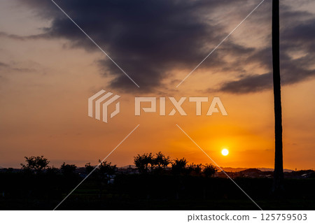 夕陽照亮的電話桿 夕陽照亮的電話桿 125759503