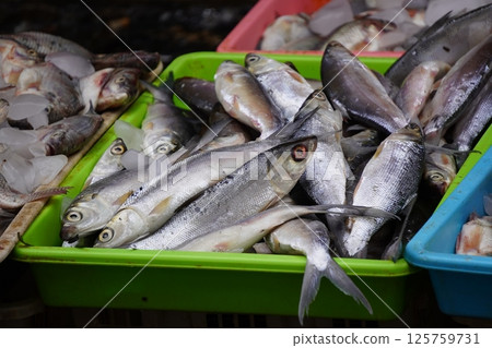 Fresh fish displayed on ice in a pink tray at a market, ready for sale. Fresh fish displayed on ice in a pink tray at a market, ready for sale. 125759731