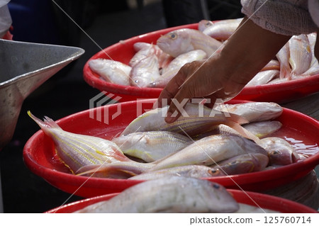 people selecting fresh fish from trays at a busy fish market, showcasing a variety of fish on ice and in baskets. 125760714