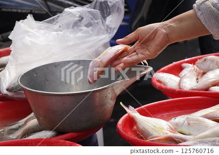 people selecting fresh fish from trays at a busy fish market, showcasing a variety of fish on ice and in baskets. 125760716