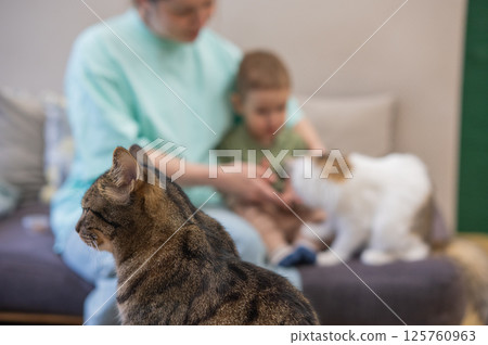 Caucasian woman with her son in a cat cafe.  125760963