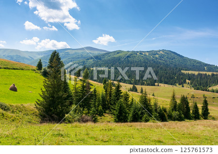 rural landscape of ukraine in summer for travel. alpine valley. countryside scenery with green field and trees on the hill. beautiful view of borzhava mountain ridge in the distance rural landscape of ukraine in summer for travel. alpine valley. countryside scenery with green field and trees on the hill. beautiful view of borzhava mountain ridge in the distance 125761573