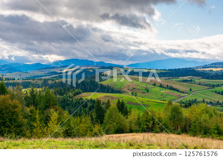 mountain landscape in early autumn for travel. alpine scenery with forest in colorful foliage. beautiful countryside valley with rolling hills. view of carpathian range under sky with clouds mountain landscape in early autumn for travel. alpine scenery with forest in colorful foliage. beautiful countryside valley with rolling hills. view of carpathian range under sky with clouds 125761576