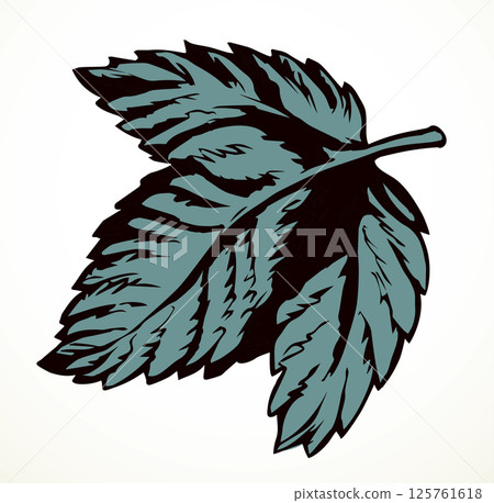 Large vine leaf. Vector drawing 125761618
