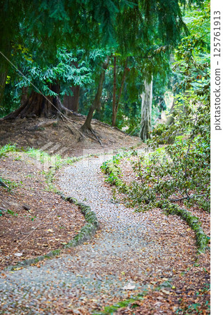 Beautiful green park path in Monza, Italy. Beautiful nature background. Beautiful green park path in Monza, Italy. Beautiful nature background. 125761913