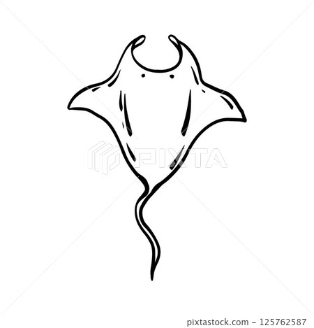 Sea stingray in doodle style. Marine animals, ocean fish. Vector linear illustration in a hand-drawn style. Outline. Sea stingray in doodle style. Marine animals, ocean fish. Vector linear illustration in a hand-drawn style. Outline. 125762587