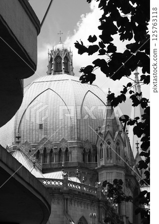 巴西聖保羅的Se大教堂 巴西聖保羅的Se大教堂 125763118