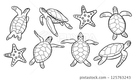 Sea Turtle Line Silhouette Vector Collection 125763243