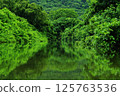 Iriomote Island, Okinawa Prefecture: A river with the greenery of both banks reflected on the water surface 125763536