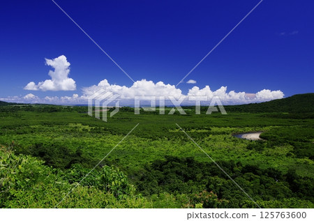 View from Nakama River Observatory, Iriomote Island, Okinawa Prefecture 125763600