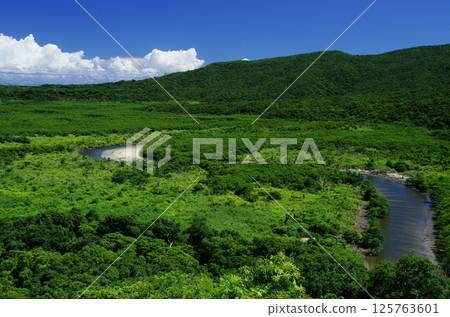 View from Nakama River Observatory, Iriomote Island, Okinawa Prefecture 125763601