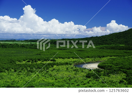 View from Nakama River Observatory, Iriomote Island, Okinawa Prefecture View from Nakama River Observatory, Iriomote Island, Okinawa Prefecture 125763602