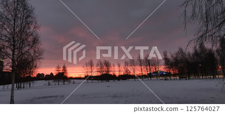 Panoramic view of winter landscape at fiery dawn. Beautiful natural landscape of park with shining sunlight, Saint Petersburg, Russia. High quality photo 125764027