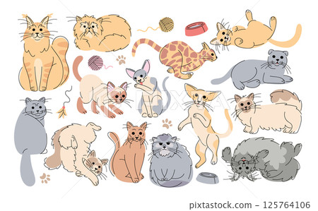 Cute cats hand drawn doodle domestic pet animals of different breed isolated set on white background 125764106