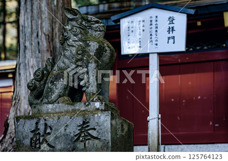 守護日光二荒山神社參道的獅子雕像 125764123