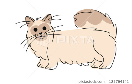 Furry purebred cat hand drawn 125764141