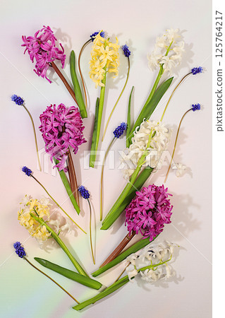 Abstract flower arrangement. Beautiful banner of different varieties of hyacinths and muscari, template for design and screen. Spring card, business card for product display, gift for loved ones. 125764217