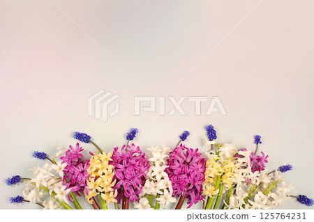Beautiful banner of different varieties of hyacinths and muscari. Abstract flower arrangement for screen and design template with space for text. Spring card, business card for product demonstration. Beautiful banner of different varieties of hyacinths and muscari. Abstract flower arrangement for screen and design template with space for text. Spring card, business card for product demonstration. 125764231