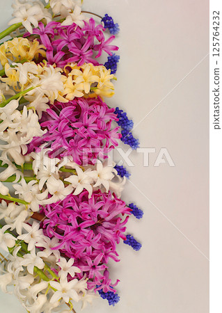 Beautiful flyer made of different varieties of hyacinths and muscari. Abstract flower arrangement for screen and design template with space for text. Spring card, business card for product 125764232
