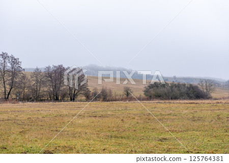 Winter landscape without snow in february. Landscape. 125764381