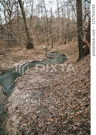 Landscape of an unusually snow-less february day in forest, frozen winter stream 125764388