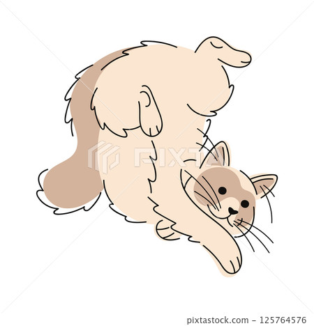 Balinese cat hand drawn doodle 125764576