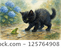 Black kitten threatening a frog 125764908