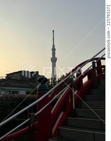 龜戶天神神社的紫藤 125765271