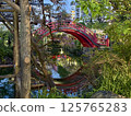 The wisteria of Kameido Tenjin Shrine 125765283