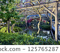 The wisteria of Kameido Tenjin Shrine 125765287